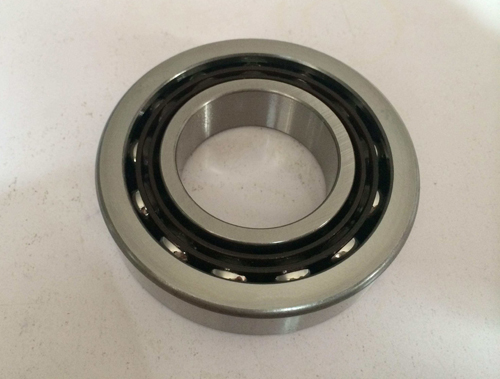 Customized 6310 2RZ C4 bearing for idler